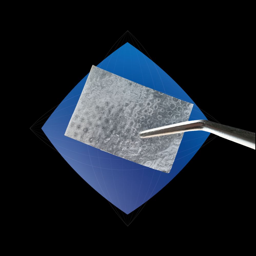 Wound Care Grafts